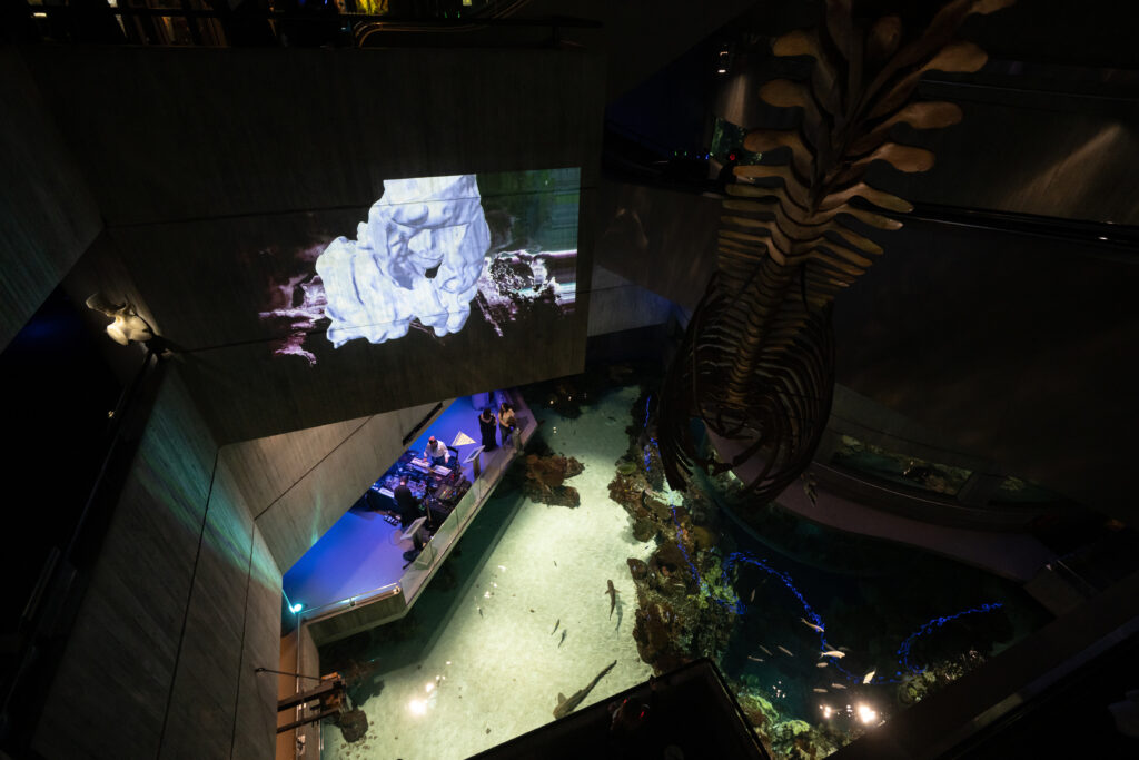 Jess and Patrick performing in the National Aquarium below a projection of an 3D render oyster